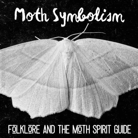 Witchcraft of moths